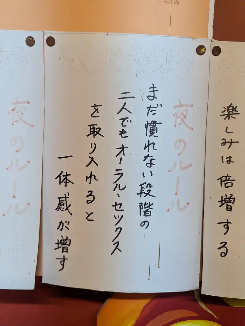 ナゾのパラダイス11
